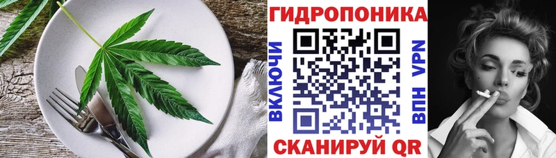 Cannafood конопля  купить наркоту  Нарьян-Мар 