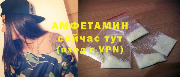 шишки Магас