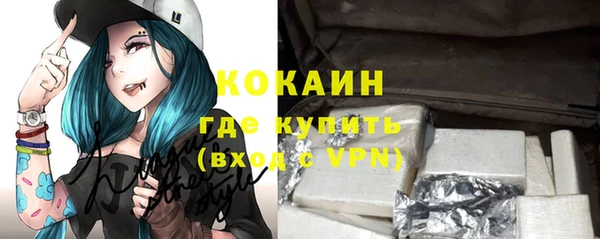 шишки Магас