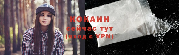 шишки Магас