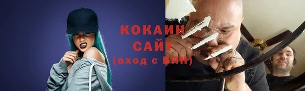 шишки Магас