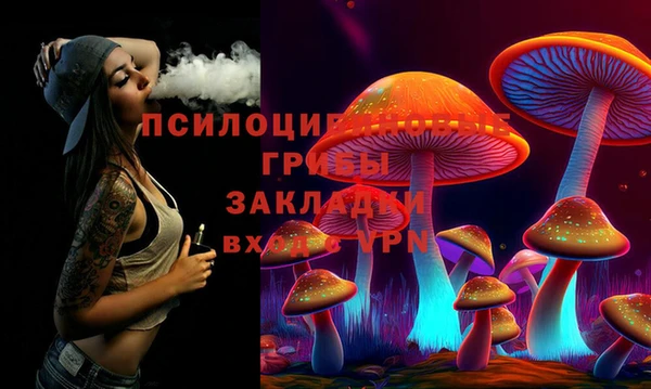 шишки Магас