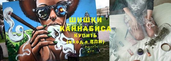шишки Магас