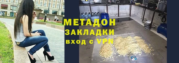 шишки Магас