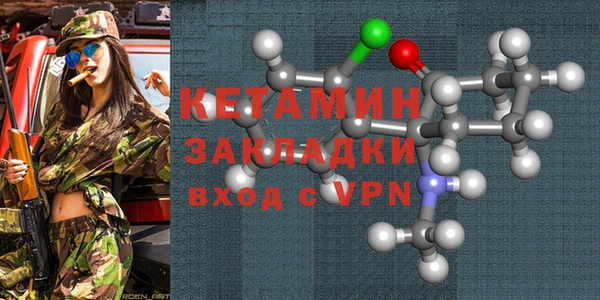 шишки Магас